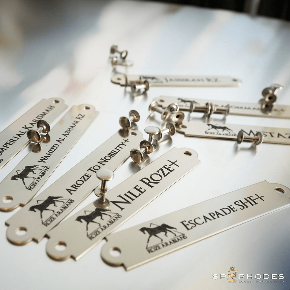 SP RHODES Chrome/Silver Halter Plates