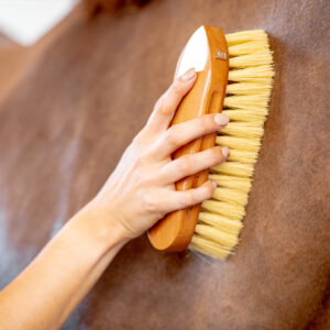 SP RHODES Dual-Groom Antibacterial Dandy Brush